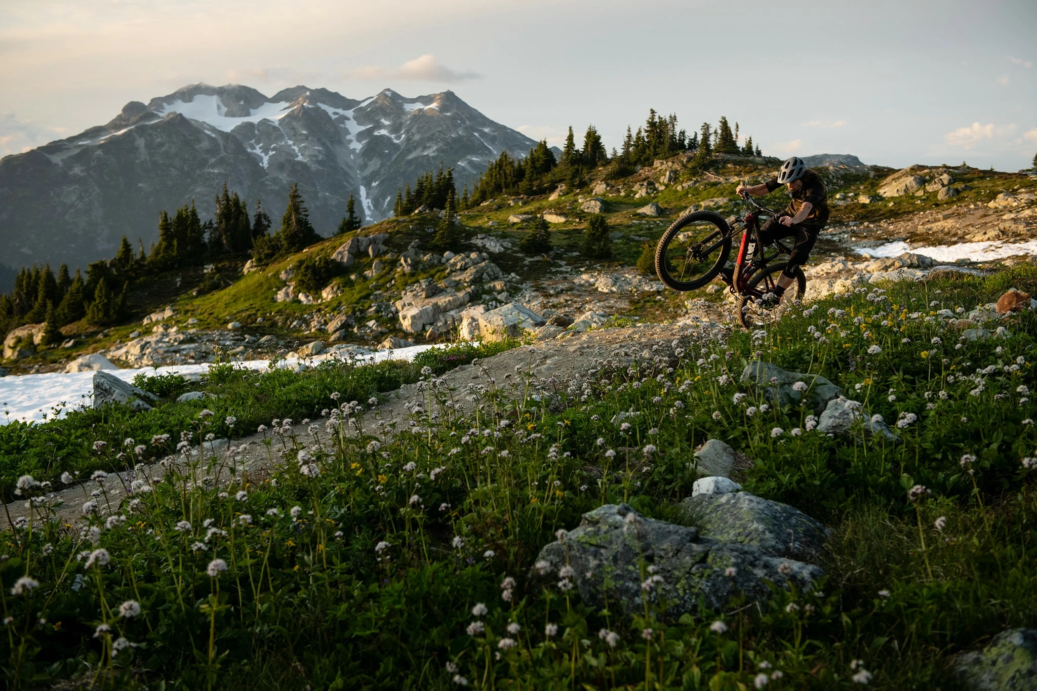 Fahrräder & Rahmen Store 25 Fahrräder & Rahmen Store -Fahrräder & Rahmen Store 138833026 3900783003286037 1495557090856288130 n