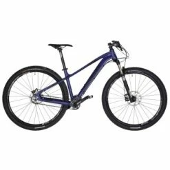 Drössiger HTA Pinion Hardtail 29" MTB C1.12 Getriebe Gates CDX Gr. M 43cm
