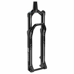 Dt-swiss DT SWISS Federgabel F 232 One 29'' 110mm Schwarz Mit Remote