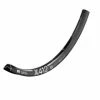 Dt-swiss DT Swiss Felge X 412 Disc 29'' 32-Loch 22,5mm Schwarz